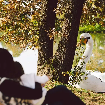 Glamping Rajska Vas База отдыха